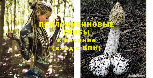 каннабис Новозыбков