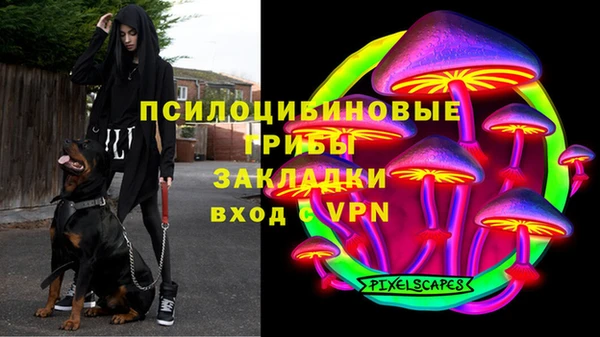 герыч Новодвинск