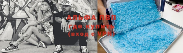каннабис Новозыбков