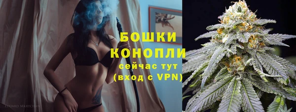 каннабис Новозыбков