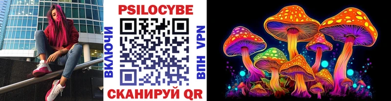 где купить наркотик  Подпорожье  это наркотические препараты  Псилоцибиновые грибы MAGIC MUSHROOMS 